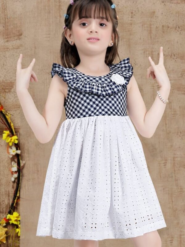 Black / White Knee Length Chikankari Casual Dress