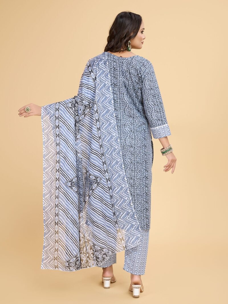 Luish Womens Grey Printed Kurta Set with Dupatta - Image 4