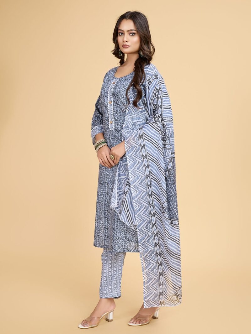 Luish Womens Grey Printed Kurta Set with Dupatta - Image 3