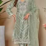 pakistani suit-luish