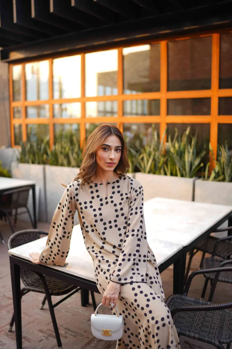 Beige Black Pakistani Co-Ord Set - Image 4